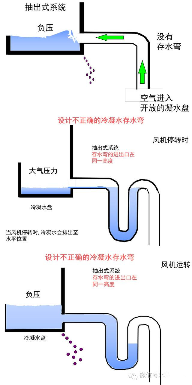 1482200646559527.jpg 11.jpg